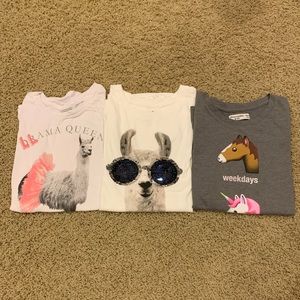 BUNDLE 15/16 GIRL ABERCROMBIE KIDS T-SHIRTS